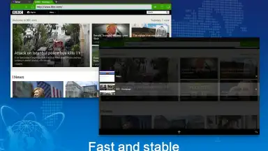 Captura de tela de Web Browser 5