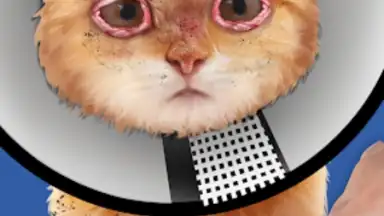 Captura de tela de Cat ASMR: Salon Makeover 3