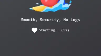 Captura de tela de VPN Tomato 6
