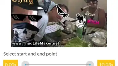 Captura de tela de Video and GIF Memes 6