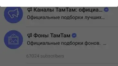 Captura de tela de TamTam Messenger 2