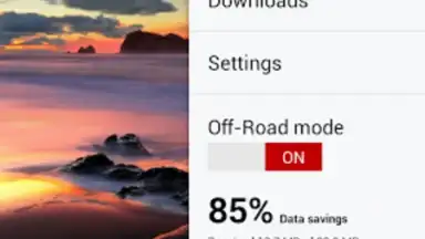 Captura de tela de Opera Browser 14
