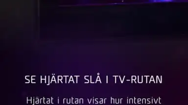 Captura de tela de Melodifestivalen 3