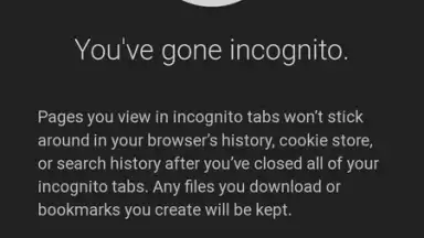 Captura de tela de Chrome Canary 6