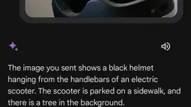 Captura de tela de Google Gemini 17