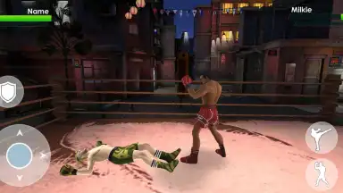 Captura de tela de Tag Team Boxing 2