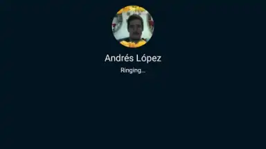 Captura de tela de Skype Lite 12