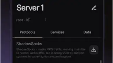 Captura de tela de Amnezia VPN 5