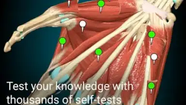 Captura de tela de 3D Anatomy Learning 3