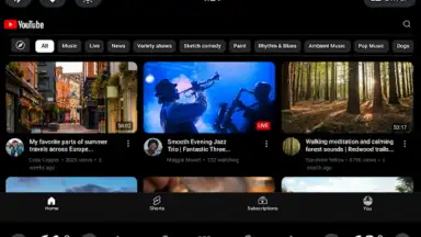 Captura de tela de YouTube (Android Auto) 5