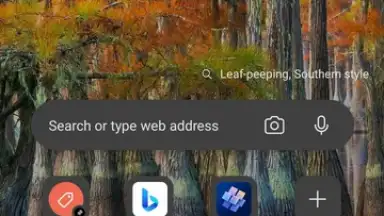 Captura de tela de Microsoft Edge Dev 1