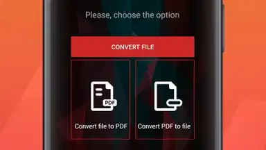 Captura de tela de PDF Conversion Tool 8