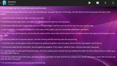 Captura de tela de Holy Bible King James Version 12
