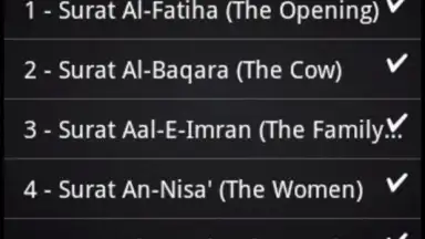 Captura de tela de BanglaQuran 5