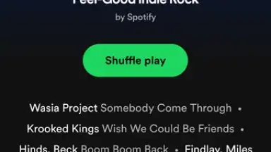 Captura de tela de Spotify Lite 8