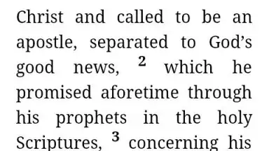 Captura de tela de NWT Bible - Lite 1