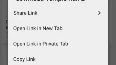 Captura de tela de Tor Browser 15