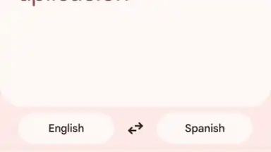 Captura de tela de Google Translate 13