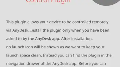 Captura de tela de AnyDesk plugin ad1 8