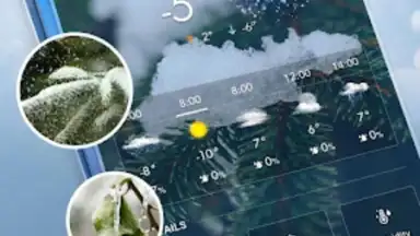 Captura de tela de Local Weather Widget 9