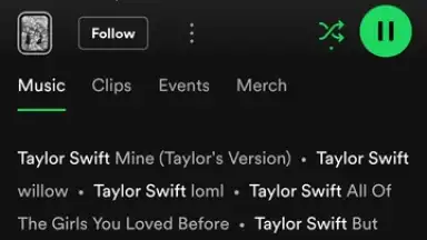 Captura de tela de Spotify 26