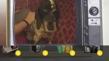 Captura de tela de V Camera 5
