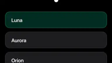 Captura de tela de Ask AI 20