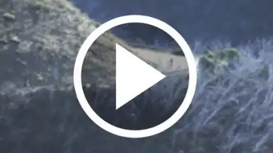 Captura de tela de HD Video Downloader Free 9
