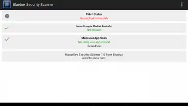 Captura de tela de Bluebox Security Scanner 1