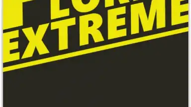 Captura de tela de SRPG - Pocket Lord EX 1