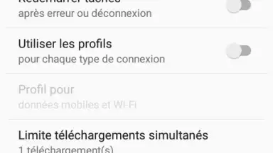 Captura de tela de IDM (internet download menager) 5