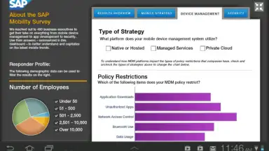 Captura de tela de SAP BI 1