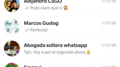 Captura de tela de WhatsApp Messenger 26