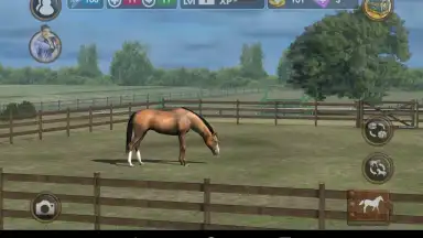 Captura de tela de My Horse 8