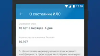 Captura de tela de ПФР Электронные сервисы 3