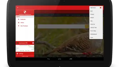 Captura de tela de Anonymous Browser 4