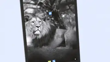 Captura de tela de Android 13 Launcher 12