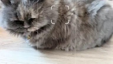 Captura de tela de Camera Go 12