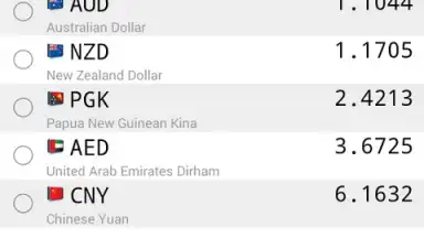 Captura de tela de Daily Currency Rates 1