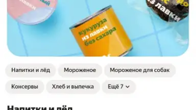 Captura de tela de Yandex.Lavka 5
