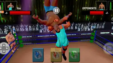 Captura de tela de Tag Team Wrestling Games: Mega Cage Ring Fighting 2