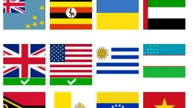 Captura de tela de Flag quiz game 8