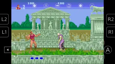 Captura de tela de RetroArch Plus 7