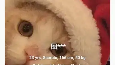 Captura de tela de Rela 2