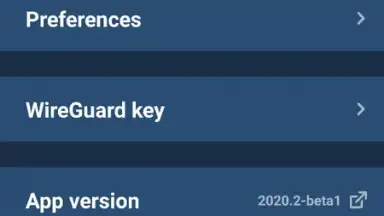 Captura de tela de Mullvad VPN 7