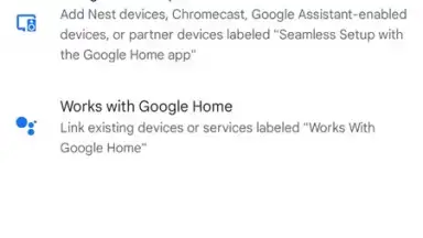 Captura de tela de Google Home 13