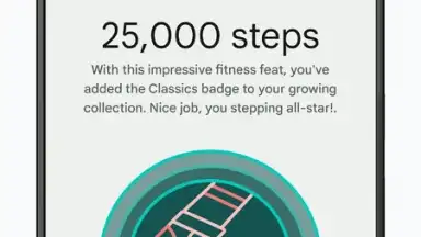 Captura de tela de Fitbit 9