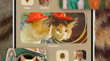 Captura de tela de WidgetKit 8