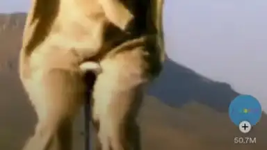 Captura de tela de Spotify 30