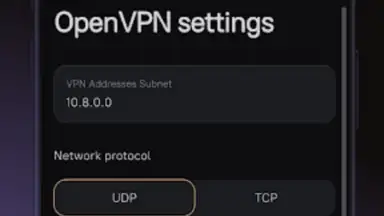 Captura de tela de Amnezia VPN 2